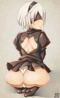 Collection - 2B - Photo #779
