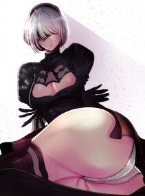 Collection - 2B - Photo #802