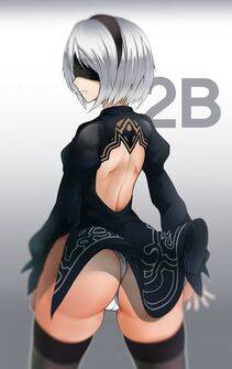 NieR- Automata 2B - Photo #39