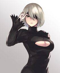 NieR- Automata 2B - Photo #453