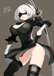 NieR- Automata 2B - Photo #584