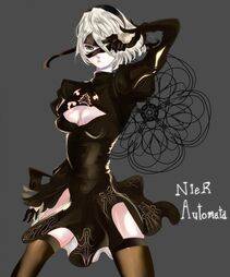 NieR- Automata 2B - Photo #701