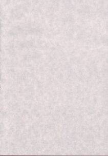Gust - Iro-7 - Photo #3