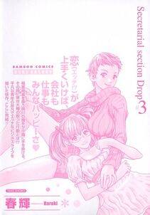 Haruki - Hishoka Drop Vol. 3 (Secretarial Section Drop) - Photo #6