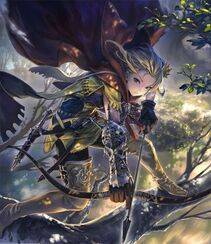 Shadowverse - Photo #90