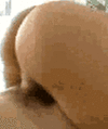 Tittyking84's avatar